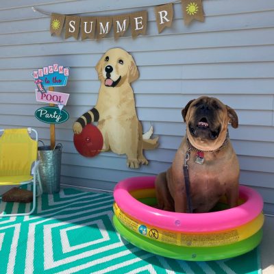 Enjoying The Dog Days Of Summer – How To Take Care Of Your Pup When The Weather Is Hot