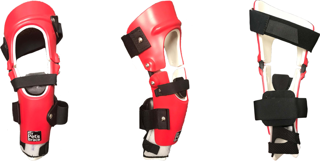 An illustration of design elements in a custom dog knee brace